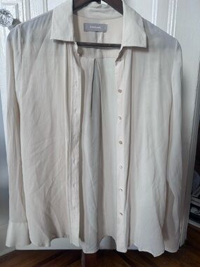 Everlane Silk Buttondown shirt size 2